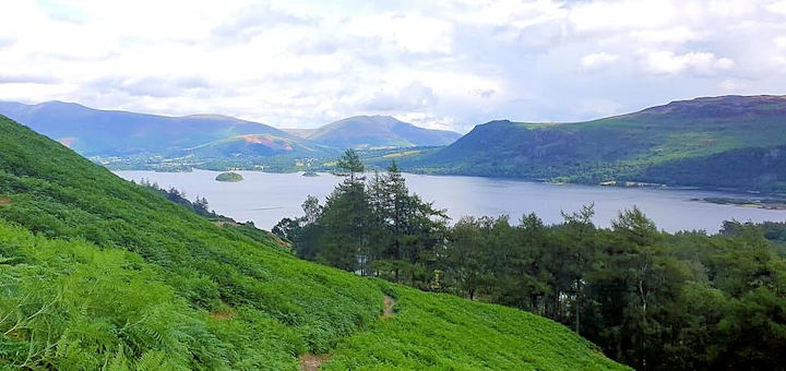 view
